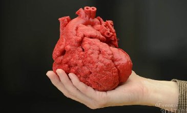 3D打印模型——为医学领域做出卓越贡献